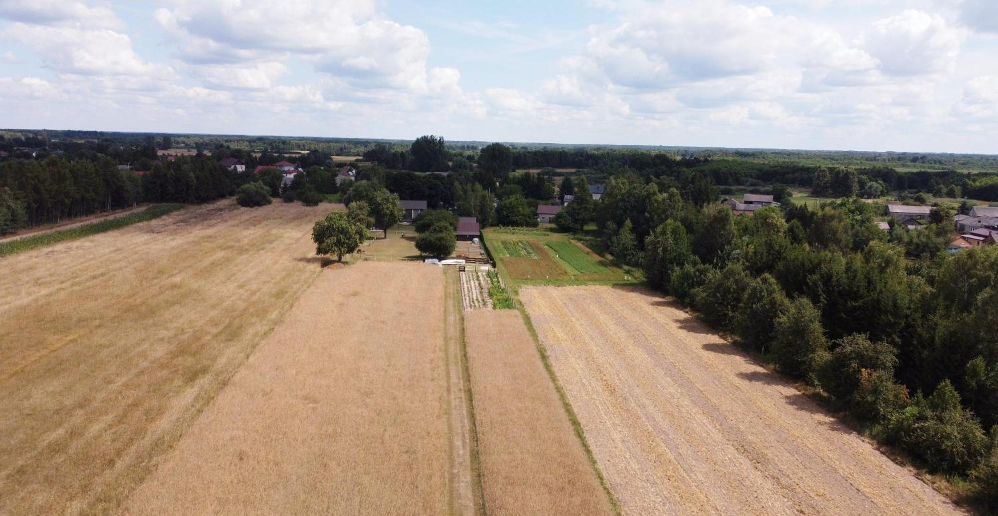 Agroturystyka Kraina Jezior Ludwin Exterior photo