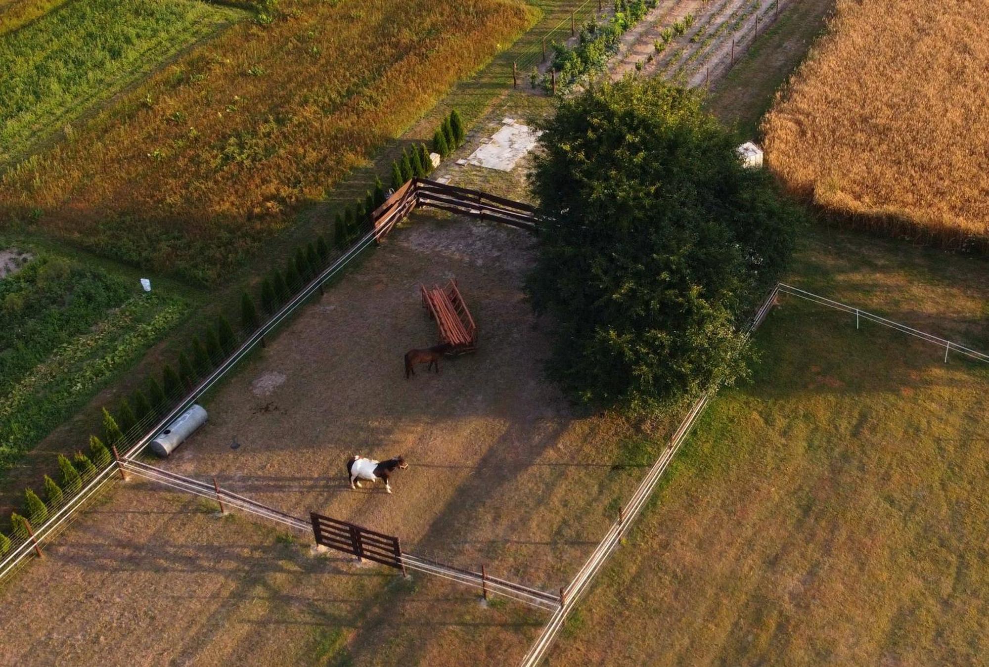 Agroturystyka Kraina Jezior Ludwin Exterior photo